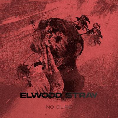 No Cure By Elwood Stray, The Narrator's cover