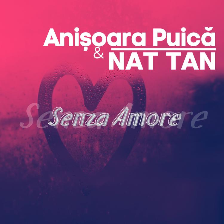Anisoara Puica's avatar image
