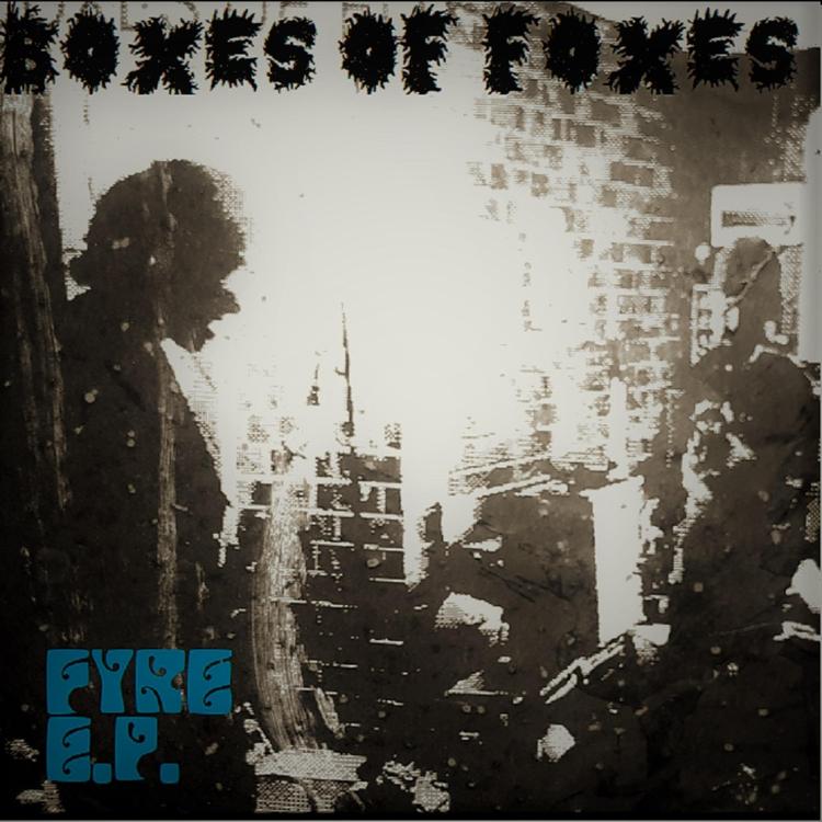 Boxes of Foxes's avatar image