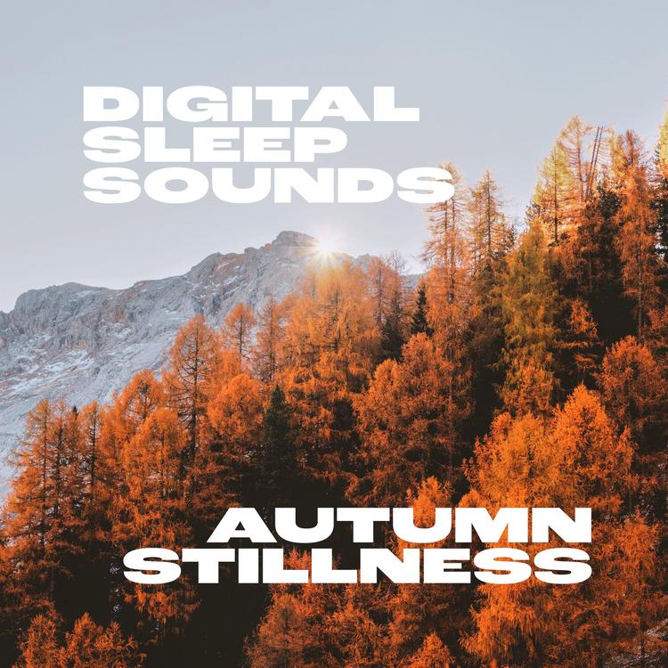 Digital Sleep Sounds's avatar image