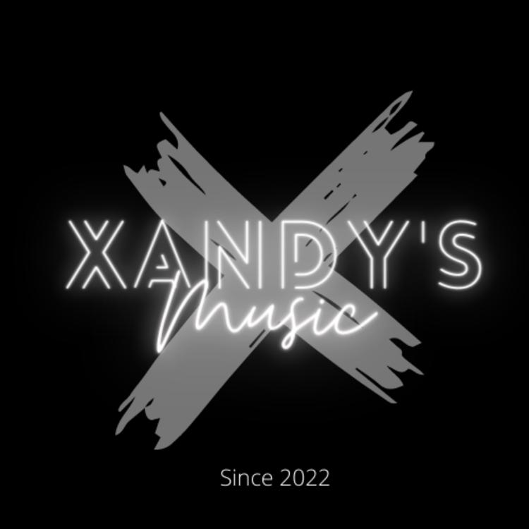 DJ Xandynho's avatar image