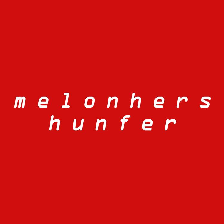 hunfer's avatar image