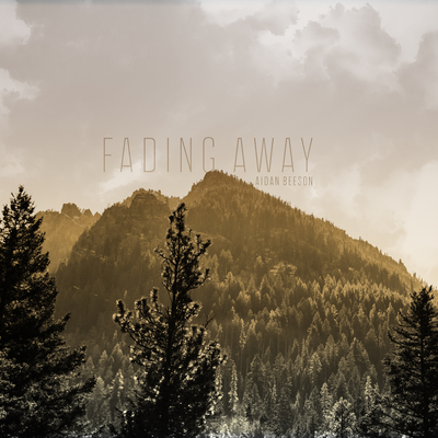 Fading Away By Aidan Beeson's cover