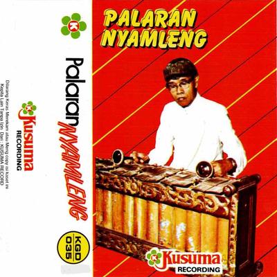 Palaran Nyamleng's cover