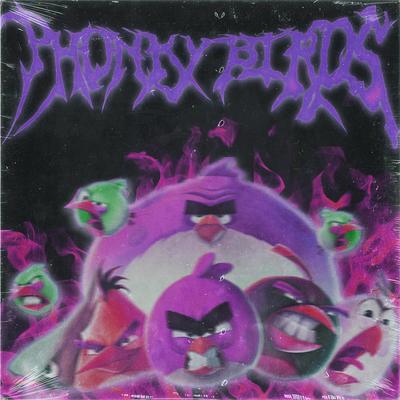 PHONKY BIRDS (Speed Up) By NITROBLXDER's cover