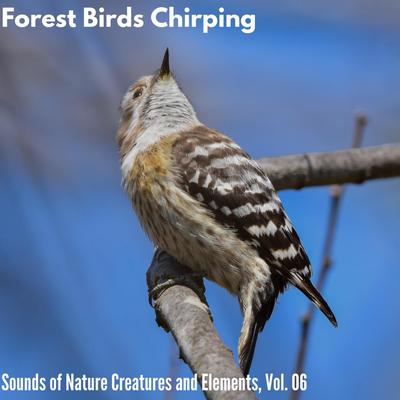 Forest Birds Chirping - Sounds of Nature Creatures and Elements, Vol. 06's cover