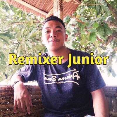 Mukamu Manis (Remix)'s cover