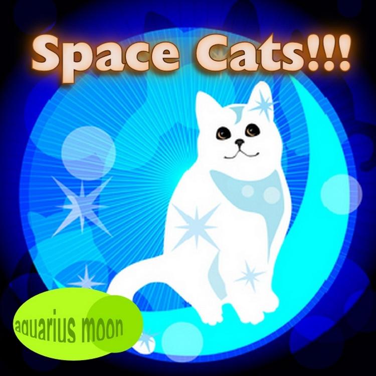 Aquarius Moon's avatar image