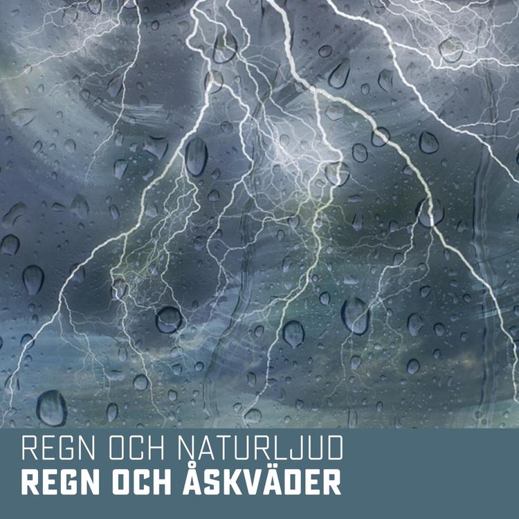 Regn och naturljud's avatar image