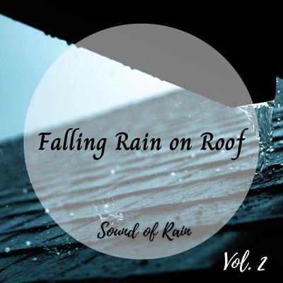 Sound of Rain: Falling Rain on Roof Vol. 2's cover