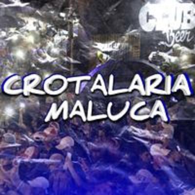 CROTALARIA MALUCA's cover