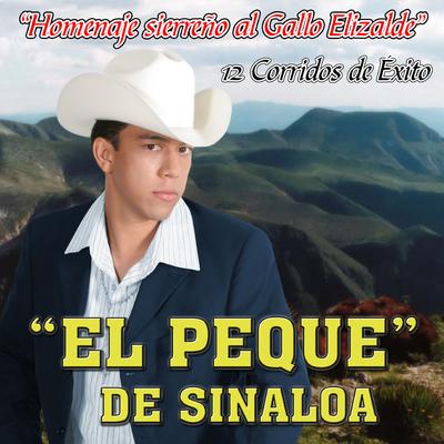 Homenaje Sierreño al Gallo Elizalde's cover