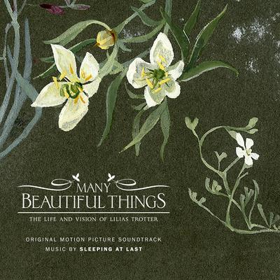 Many Beautiful Things (Original Motion Picture Soundtrack)'s cover
