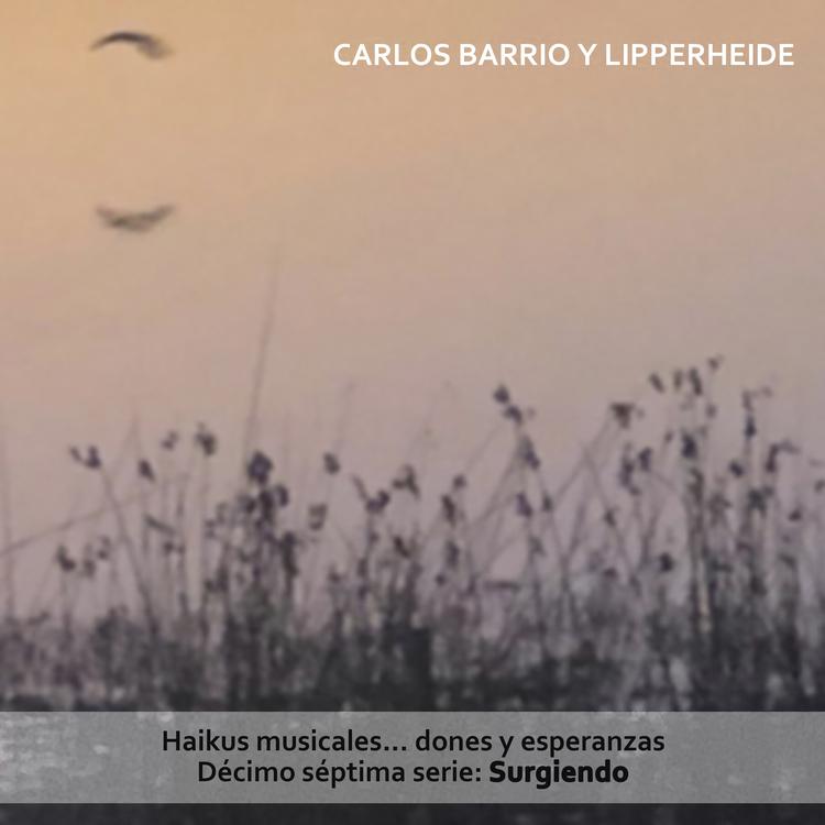 Carlos Barrio y Lipperheide's avatar image