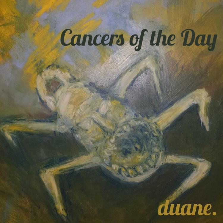 duane.'s avatar image