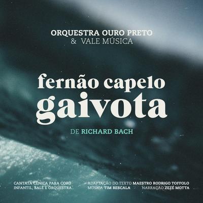 Fernão Capelo Gaivota's cover