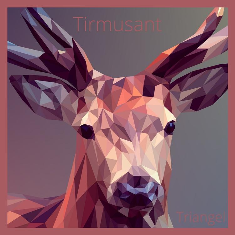 Tirmusant's avatar image