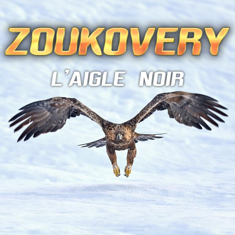 Zoukovery's avatar image