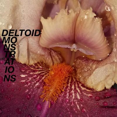 Deltoid's cover