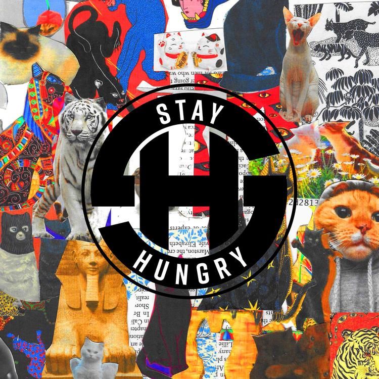 Stay Hungry's avatar image