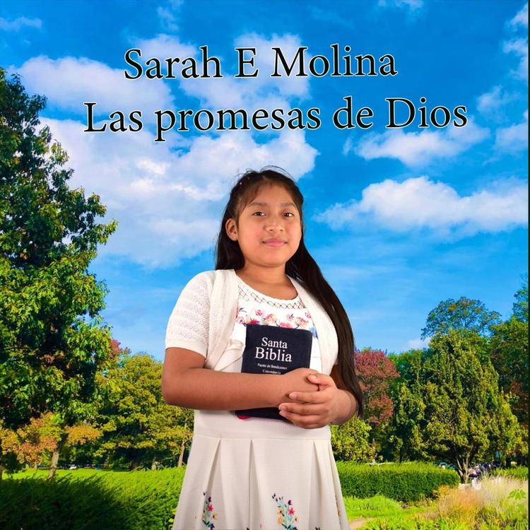 Sarah E Molina's avatar image
