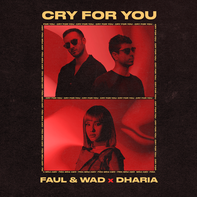 Cry For You By Faul & Wad, DHARIA's cover