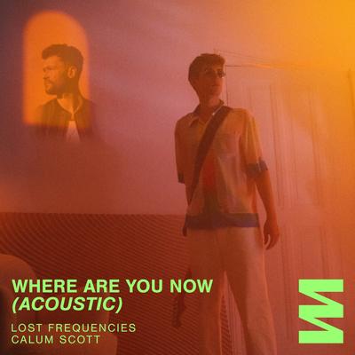 Where Are You Now  (Acoustic) By Lost Frequencies, Calum Scott's cover