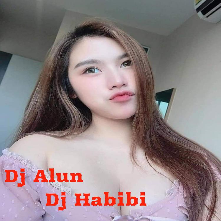 Dj Alun's avatar image