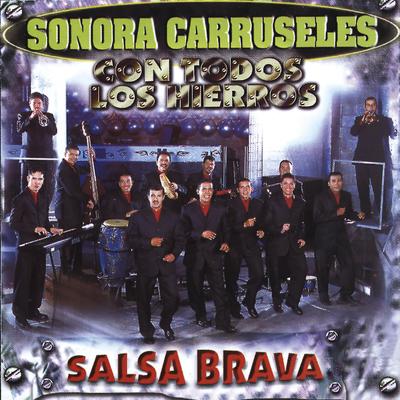 Salsa Brava Con Todos los Hierros's cover