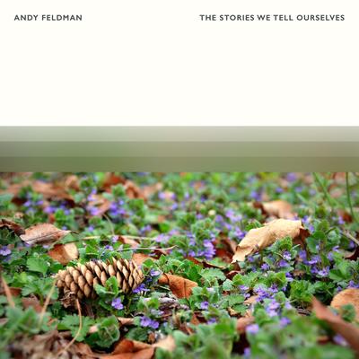 The Stories We Tell Ourselves By Andy Feldman's cover