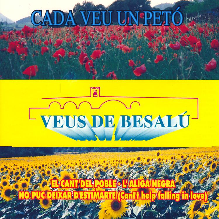 Veus de Besalú's avatar image