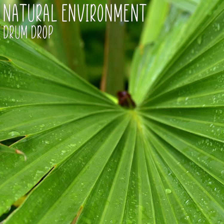 Natural Environment's avatar image