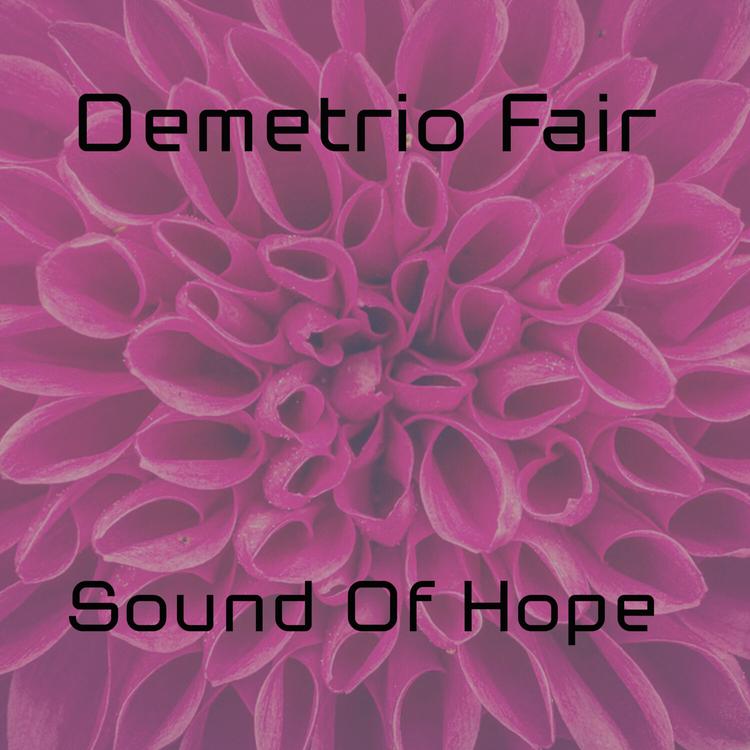 Demetrio Fair's avatar image