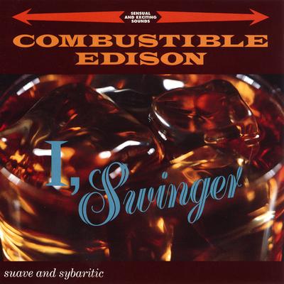 Theme From The Tiki Wonder Hour By Combustible Edison's cover