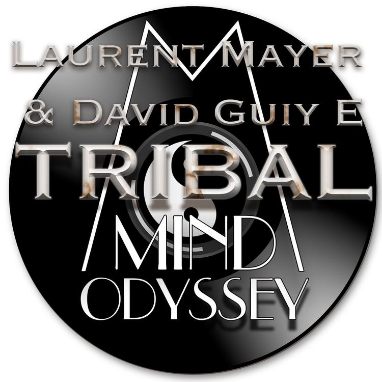 Laurent Mayer's avatar image