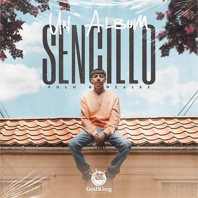 Un Album Sencillo's cover