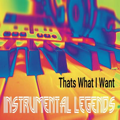 Thats What I Want (In the Style of Lil Nas X) [Karaoke Version] By Instrumental Legends's cover