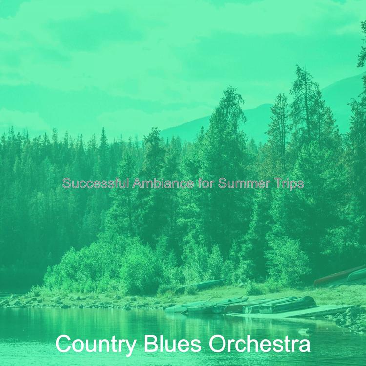 Country Blues Orchestra's avatar image