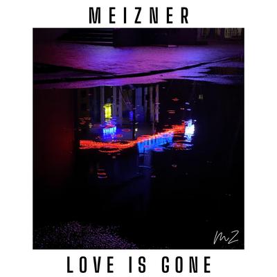 Love Is Gone By Meizner's cover