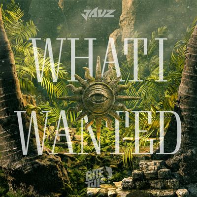 What I Wanted By Jauz's cover