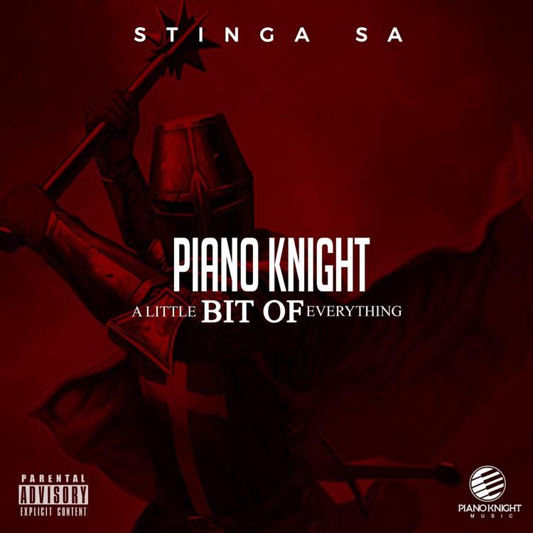 Stinga SA's avatar image