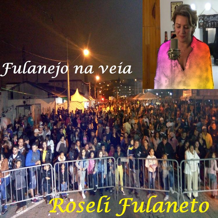Roseli Fulaneto's avatar image