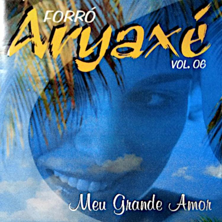 Forró Aryaxé's avatar image