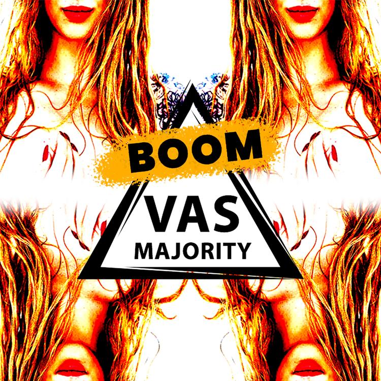 Vas Majority's avatar image