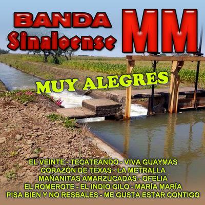 Muy Alegres, Vol. 1's cover