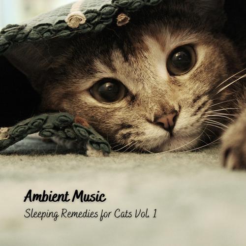 Music for best sale calming cats