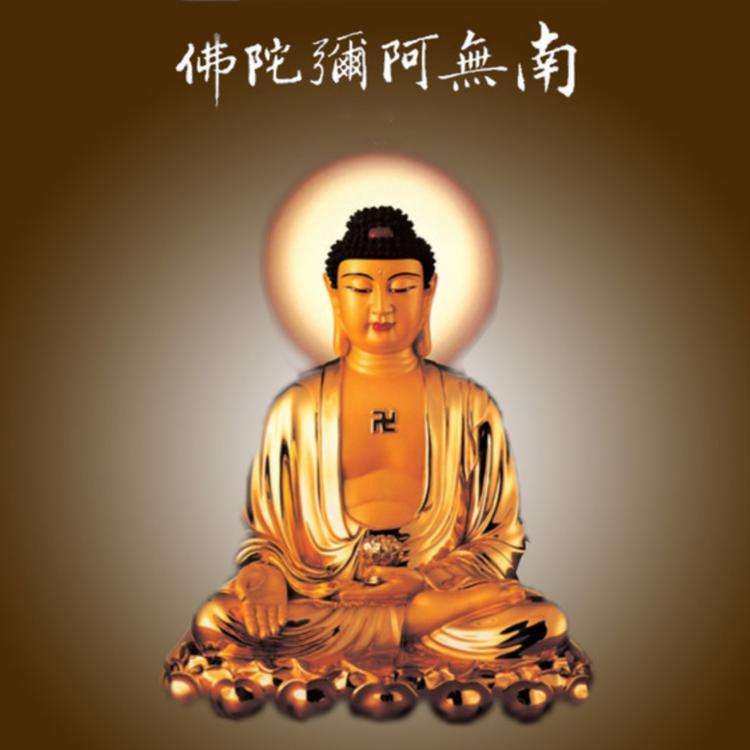 王松 's avatar image