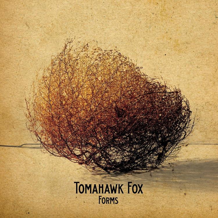 Tomahawk Fox's avatar image