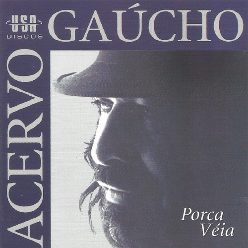 gaúcho pra ouvir's cover