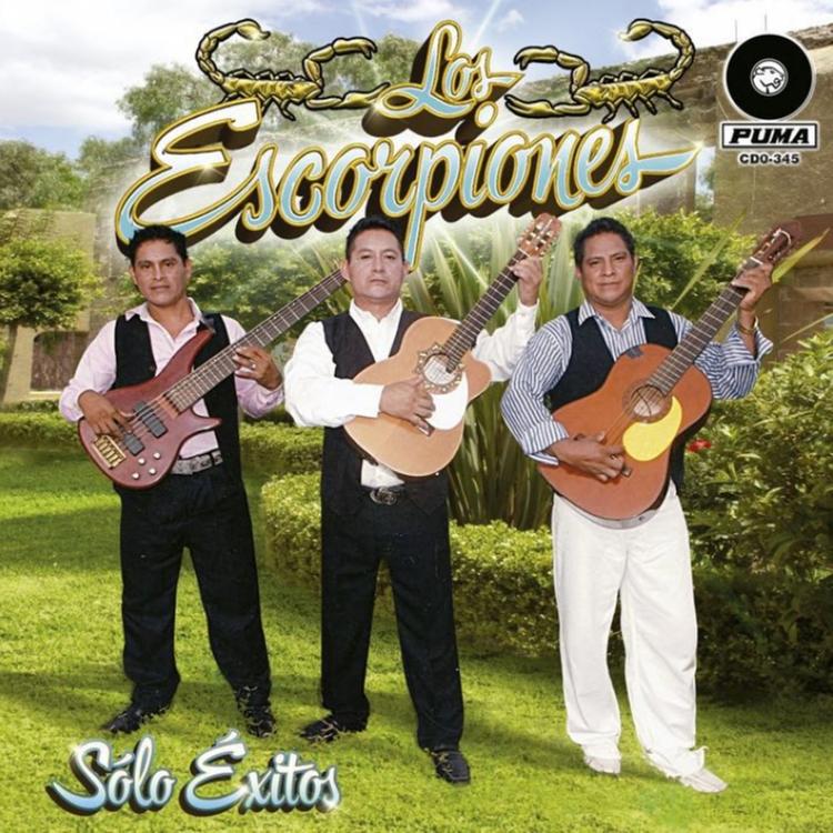 Los Escorpiones's avatar image